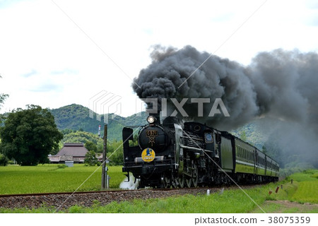 C571 SL Yamaguchi 38075359