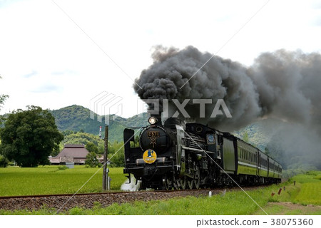 C571 SL Yamaguchi 38075360