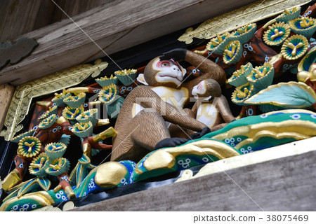 Three monkeys 38075469