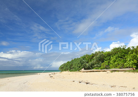 Okinawa Okinawa 38075756