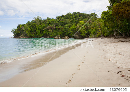 Beach Manuel Antonio Costa Rica 38076605