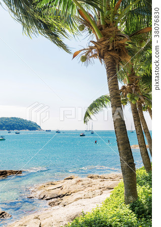 Palms Nai Harn bay beach beach Phuket Palms Nai Harn bay beach beach Phuket 38076830