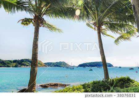 Palms Nai Harn bay beach beach Phuket Palms Nai Harn bay beach beach Phuket 38076831