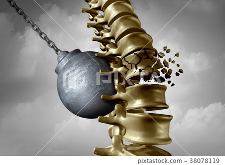 Spine Pain 38078119