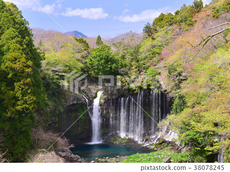 Shiraito Falls-27151 Shiraito Falls-27151 38078245