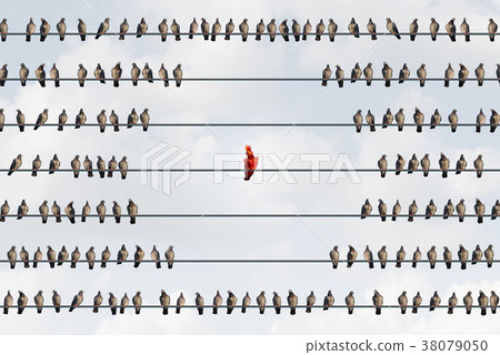 Outcast Outcast 38079050