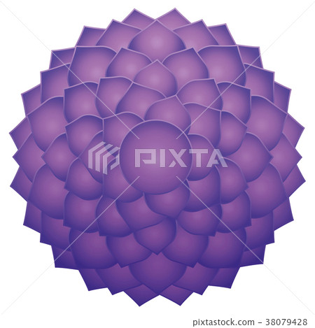 Thousand Petaled Lotus Sahasraha Crown Chakra 38079428