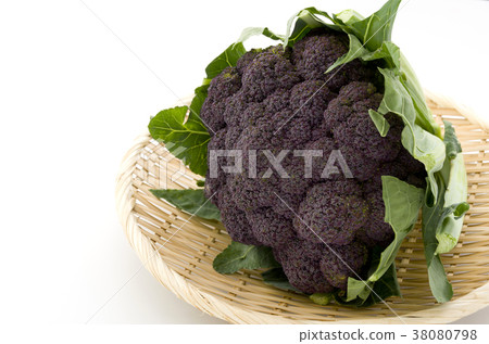 紫色花椰菜 38080798