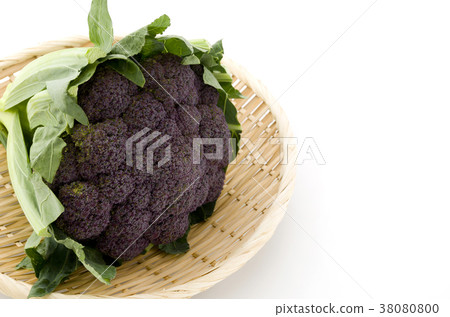 紫色花椰菜 38080800