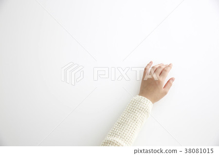 Female hand Female hand 38081015