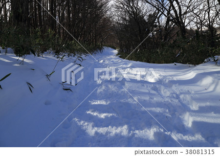 山行跡在Adatara山冬天 山行跡在Adatara山冬天 38081315