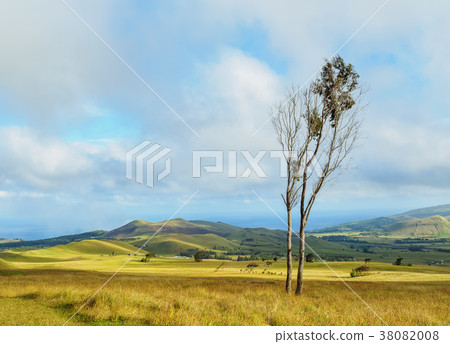 Landscape of Easter Island, Chile Landscape of Easter Island, Chile 38082008