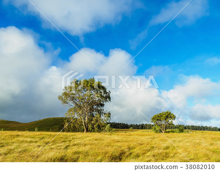Landscape of Easter Island, Chile Landscape of Easter Island, Chile 38082010