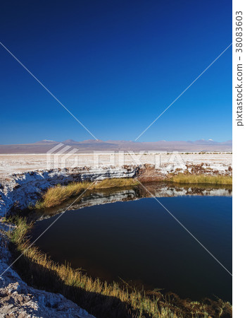 Salar de Atacama in Chile 38083603