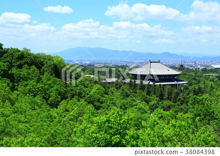 Fresh green Todai-ji Temple Great Buddha 38084398
