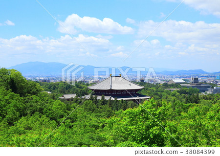 Fresh green Todai-ji Temple Great Buddha 38084399