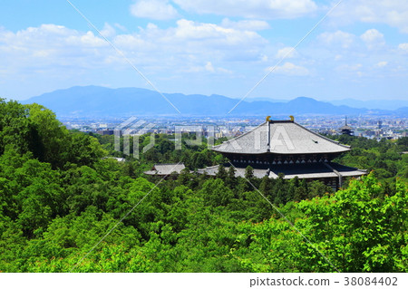 Fresh green Todai-ji Temple Great Buddha 38084402