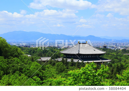 Fresh green Todai-ji Temple Great Buddha Fresh green Todai-ji Temple Great Buddha 38084404