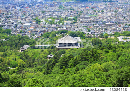 Fresh green Todai-ji Temple Great Buddha Fresh green Todai-ji Temple Great Buddha 38084518