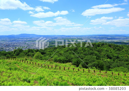 Young green mountain peak of fresh green Young green mountain peak of fresh green 38085203