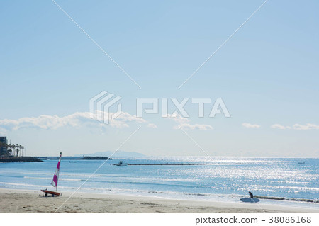 Timber Coast 38086168