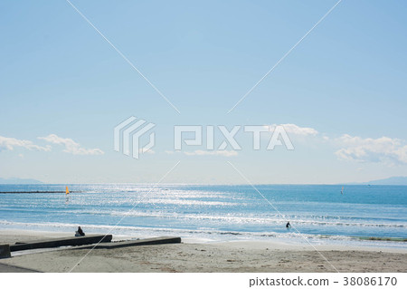 Timber Coast 38086170