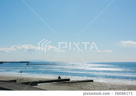 Timber Coast 38086171