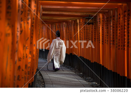 Fushimi Inari Godhead 2 walking in the torii 38086220