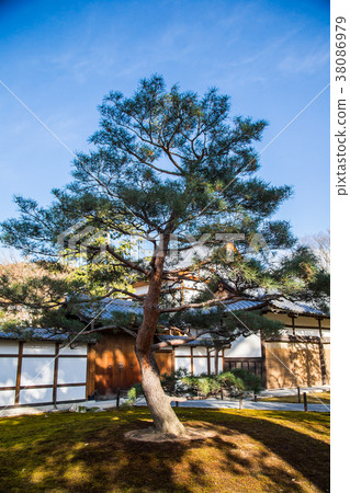 The beauty of Japanese architectural scenery The beauty of Japanese architecture 38086979