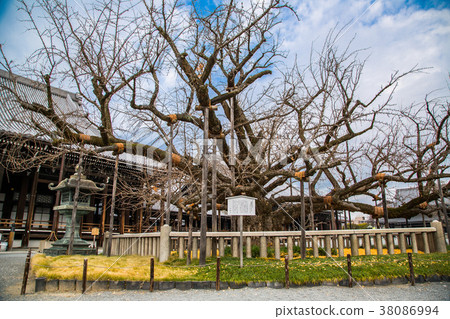 日本建築風景之美 The beauty of Japanese architecture 38086994