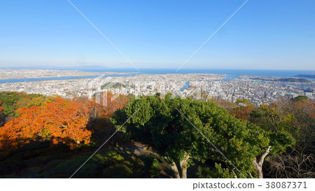 從山頂的德島市鳥棲。 38087371