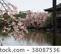 Kyoto Japanese Garden Spring 38087536
