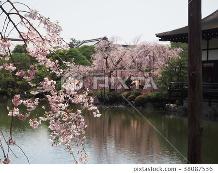 Kyoto Japanese Garden Spring Kyoto Japanese Garden Spring 38087536