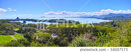 Landscape of Kualoa (Panorama) 38087573