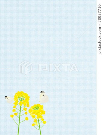 Background material _ rape blossom and butterfly (blue) Background material _ rape blossom and butterfly (blue) 38087710