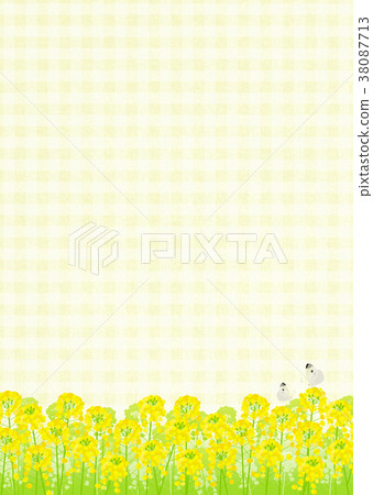 背景材料_油菜花和蝴蝶（黃色） 38087713