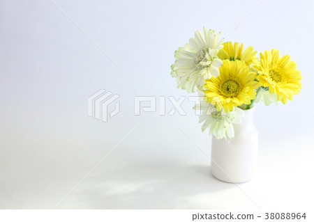 The whole flower in a vase 38088964