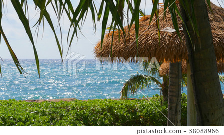 Ko Olina Beach 38088966