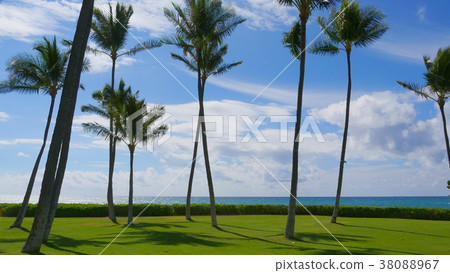 Ko Olina Beach 38088967