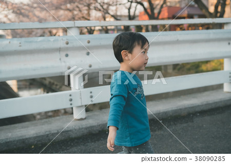 春天 春 櫻花 38090285