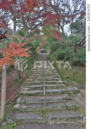 Colour ful Autumn in Nison in Temple, Kyoto, Japan Colour ful Autumn in Nison in Temple, Kyoto, Japan 38091450