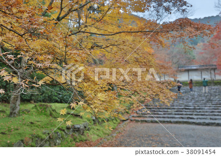 maple leave at the main road Nison inTemple 38091454