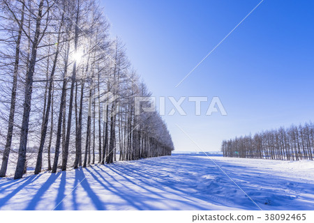 Snow scene in the Tokachi region Snow scene in the Tokachi region 38092465