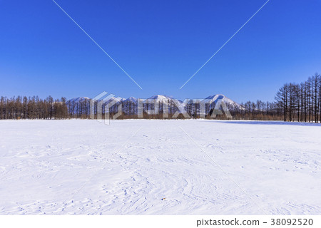 十勝地區的雪景 38092520