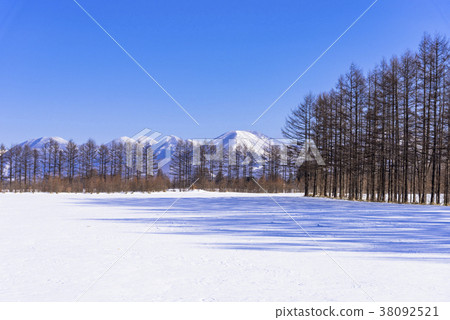 十勝地區的雪景 38092521