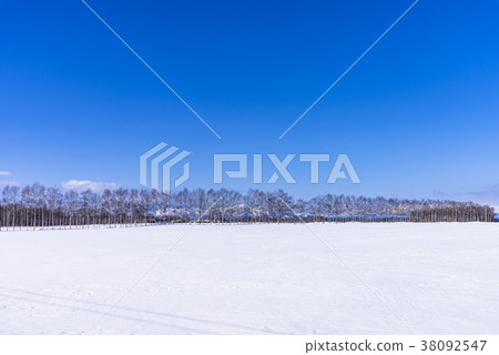十勝地區的雪景 38092547