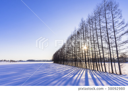 Sunset in the deep winter on a snowy field Sunset in the deep winter on a snowy field 38092980