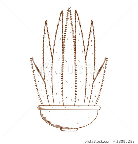 Abstract cute cactus 38093282