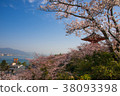Miyoshima 38093398