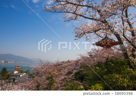 Miyoshima Miyoshima 38093398